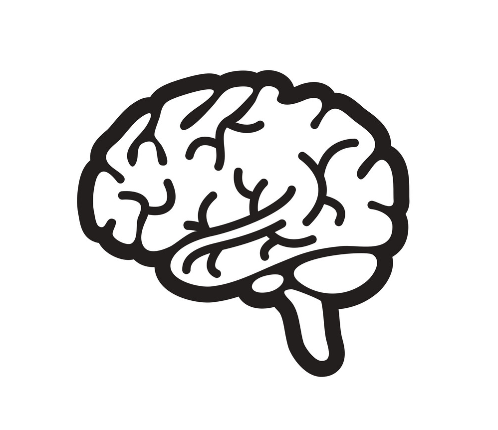 Detail Brain Images Png Nomer 8