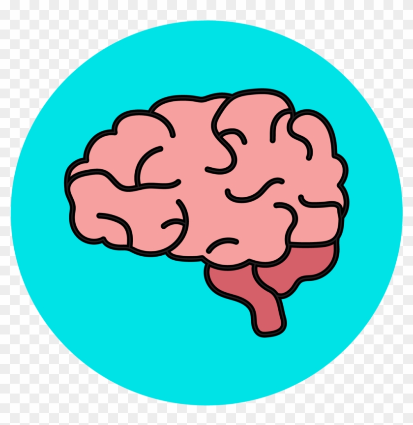 Detail Brain Images Png Nomer 11