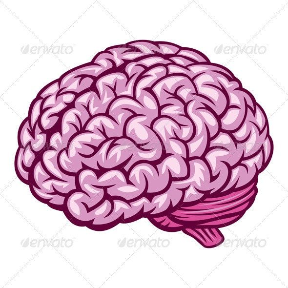 Detail Brain Images Png Nomer 17