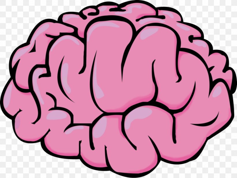 Detail Brain Images Png Nomer 21