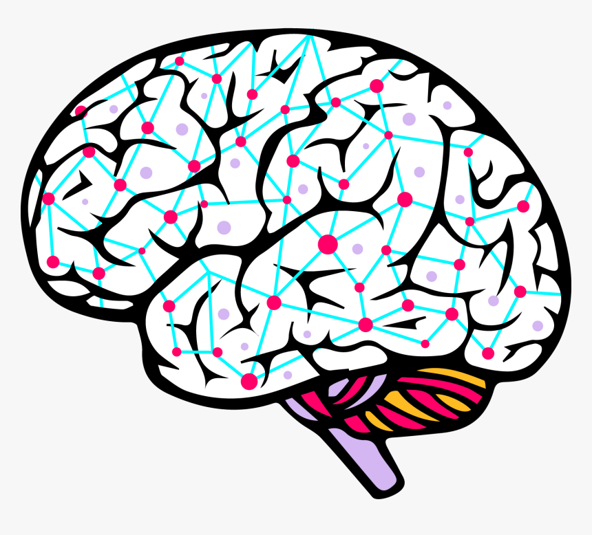 Detail Brain Images Png Nomer 22