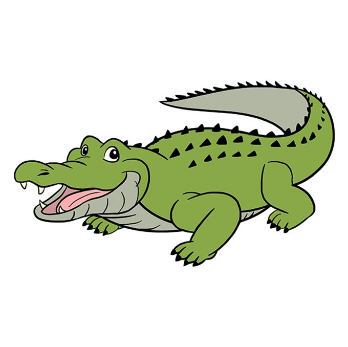 Crocodile Drawing - KibrisPDR
