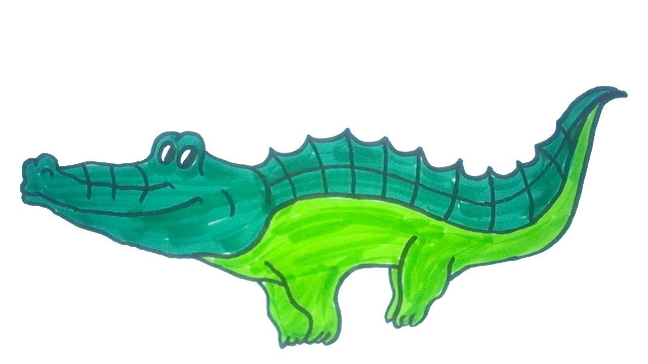 Detail Crocodile Drawing Nomer 12