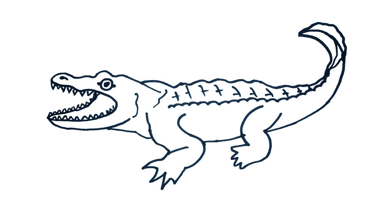 Detail Crocodile Drawing Nomer 3