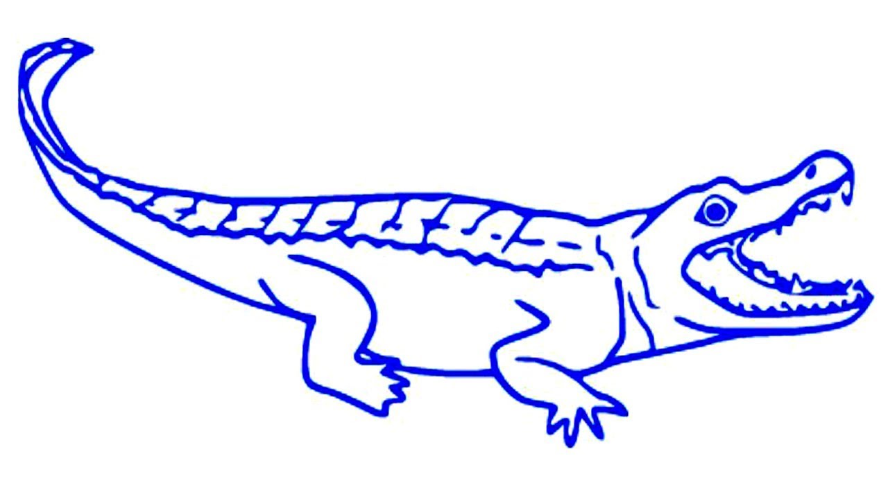 Detail Crocodile Drawing Nomer 5