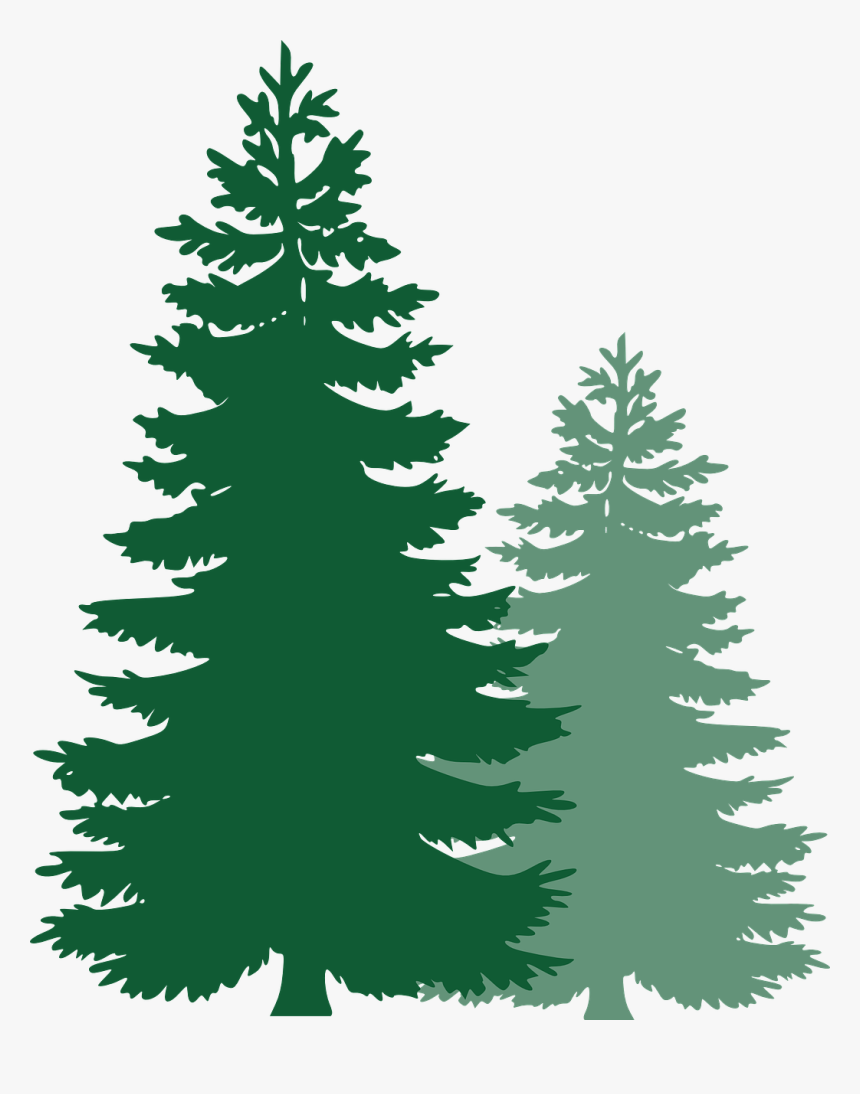 Detail Forest Trees Png Nomer 7