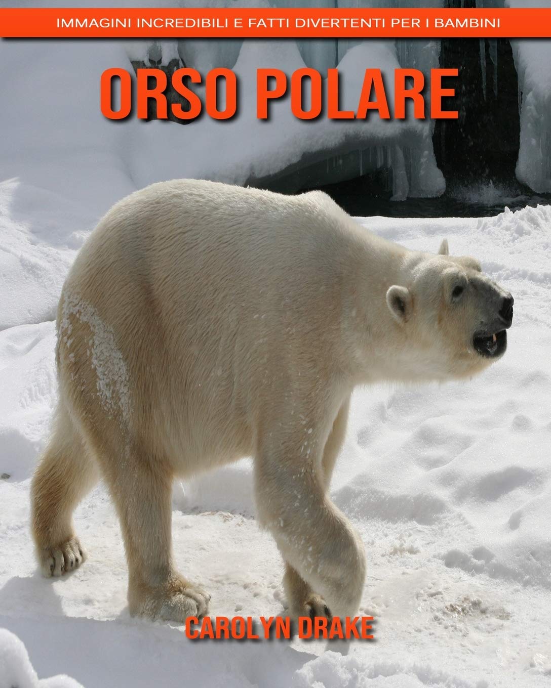 Download Foto Orso Polare Nomer 1