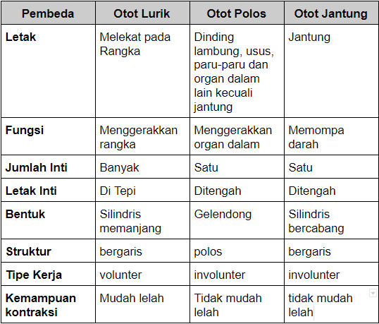 Detail Foto Otot Lurik Nomer 51