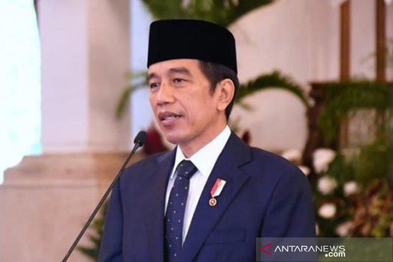 Detail Foto Pak Jokowi Dodo Nomer 31