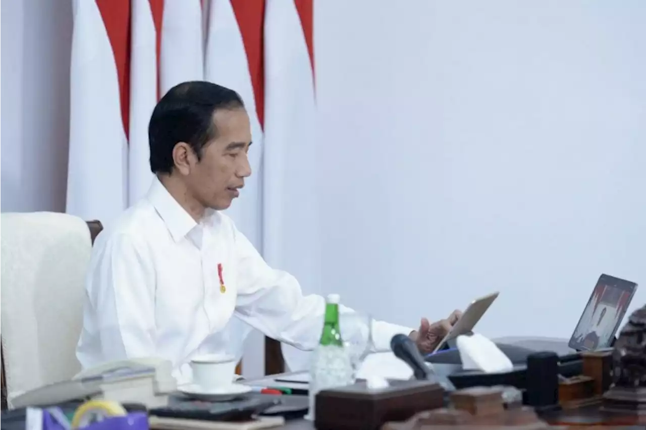 Detail Foto Pak Jokowi Dodo Nomer 52