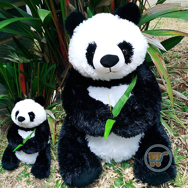 Detail Foto Panda Lucu Dan Imut Nomer 15