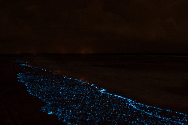 Detail Foto Pantai Malam Hari Nomer 19