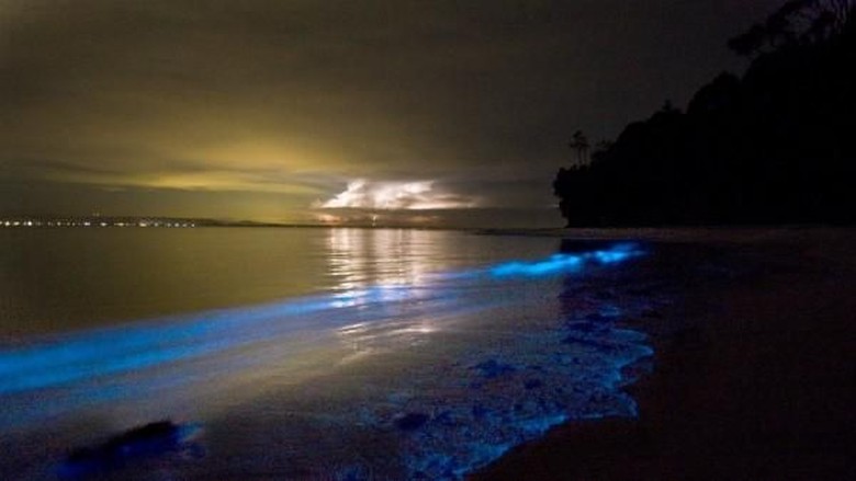 Detail Foto Pantai Malam Hari Nomer 9