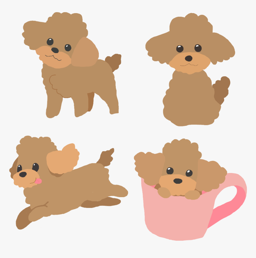 Detail Mini Poodle Nomer 6