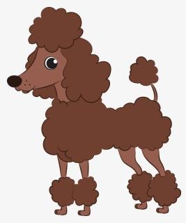 Detail Mini Poodle Nomer 15