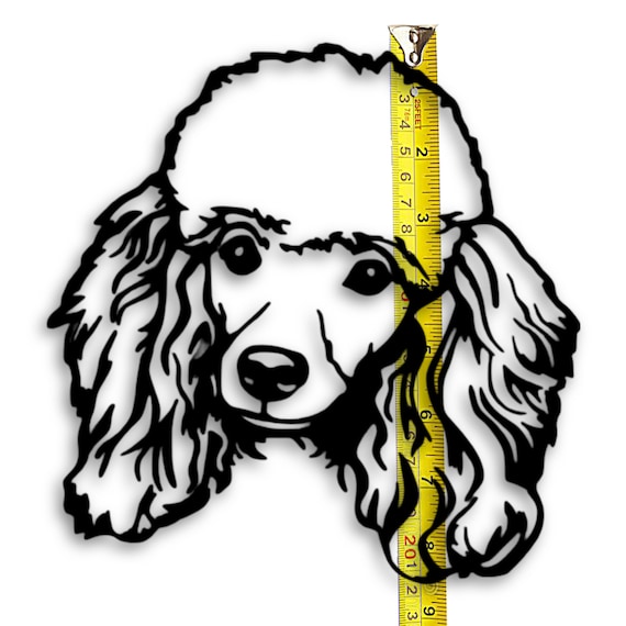 Detail Mini Poodle Nomer 19