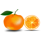 Detail Orange Bergamotte Nomer 21