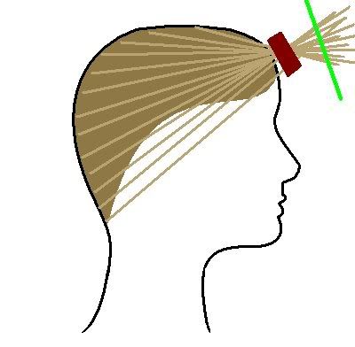 Detail Pixie Cut Ponytail Nomer 2