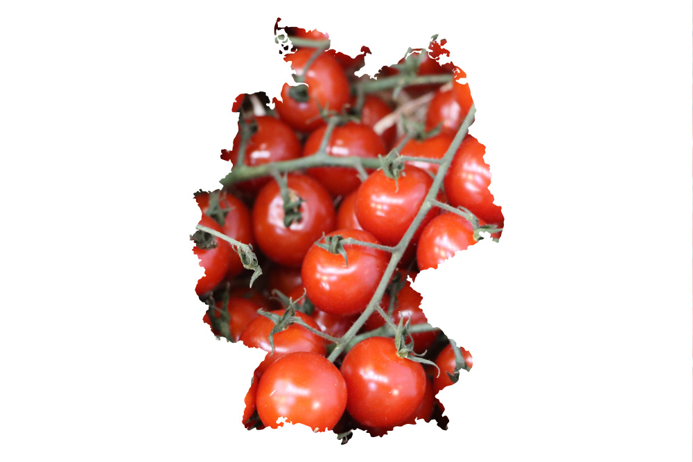 Detail Tomaten Bilder Nomer 5