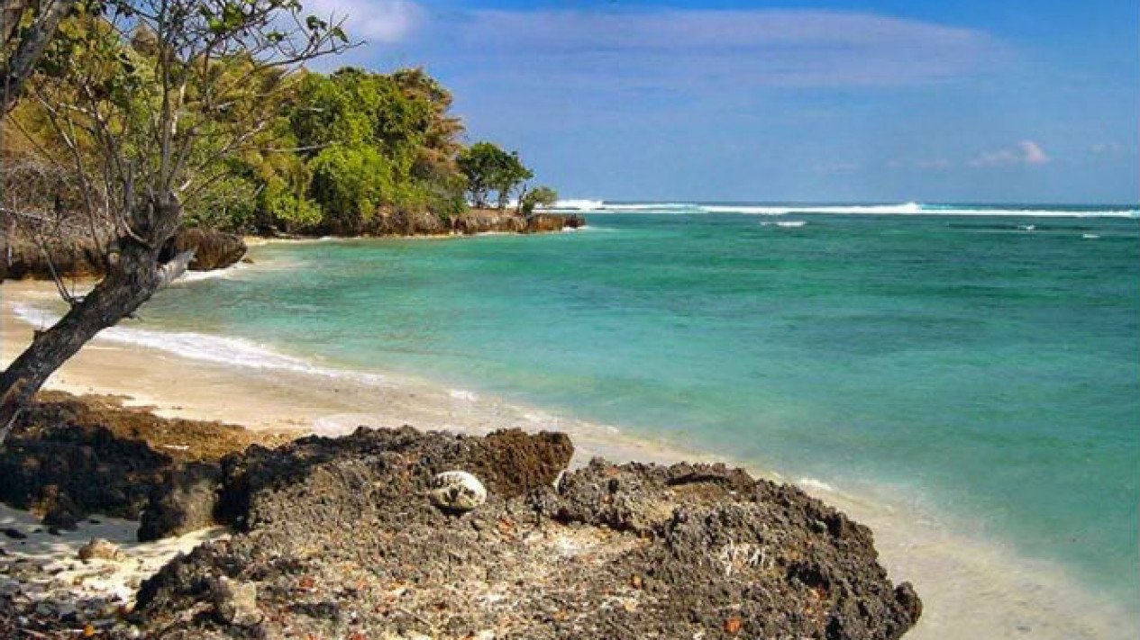 Detail Foto Pantai Plengkung Banyuwangi Nomer 22