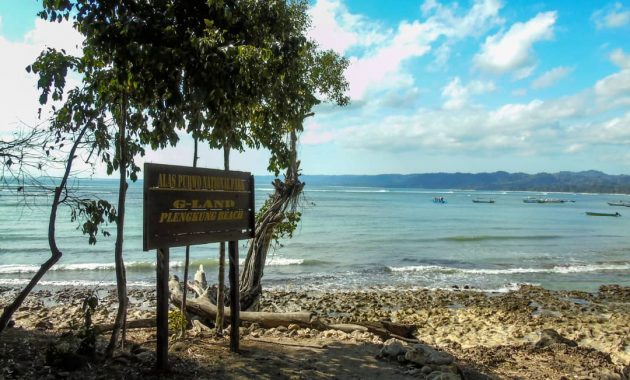 Detail Foto Pantai Plengkung Banyuwangi Nomer 42