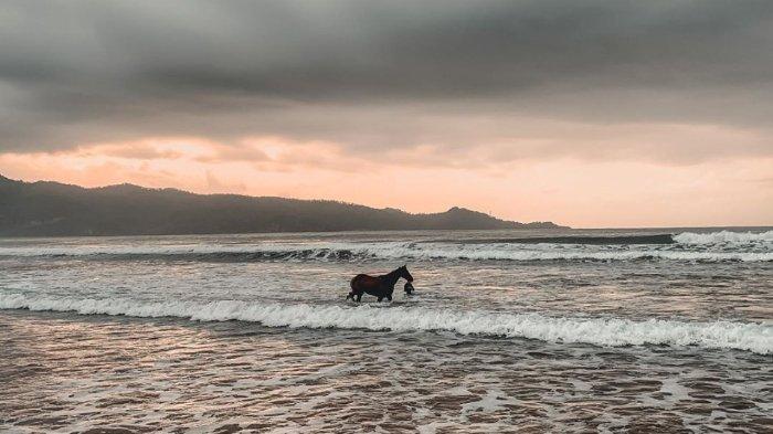 Detail Foto Pantai Teleng Ria Pacitan Nomer 41