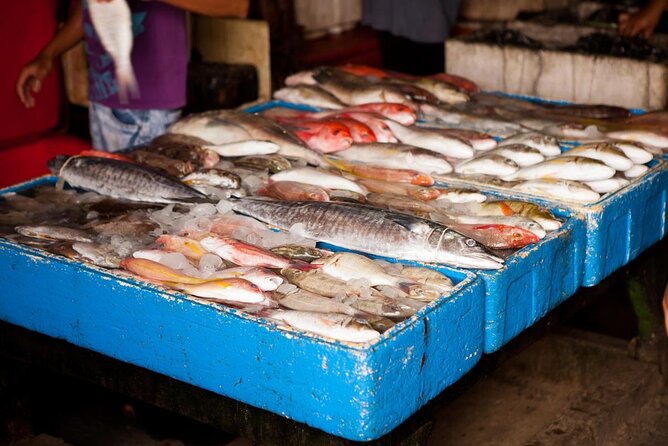 Foto Pasar Ikan - KibrisPDR