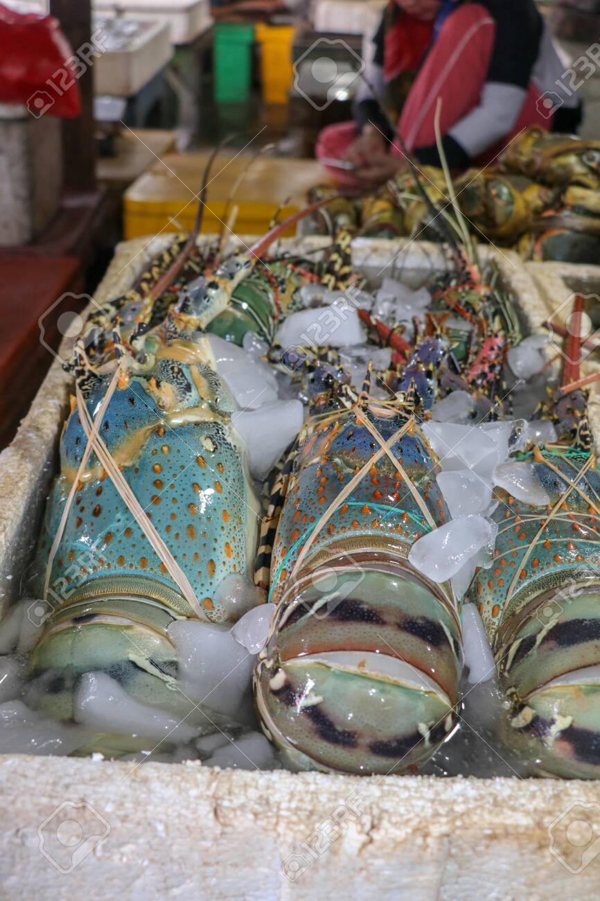 Detail Foto Pasar Ikan Nomer 29