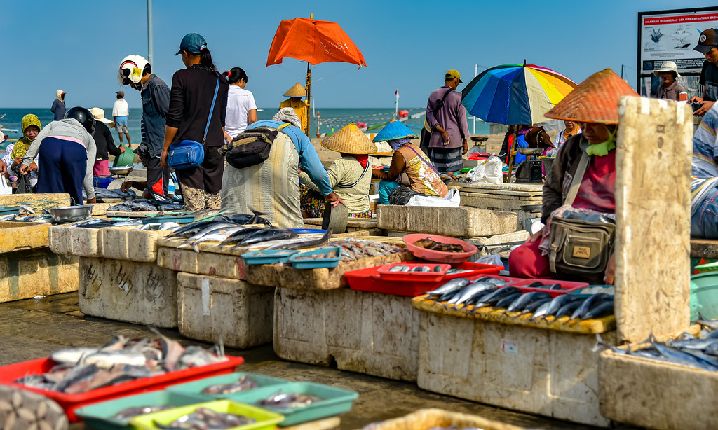 Detail Foto Pasar Ikan Nomer 32