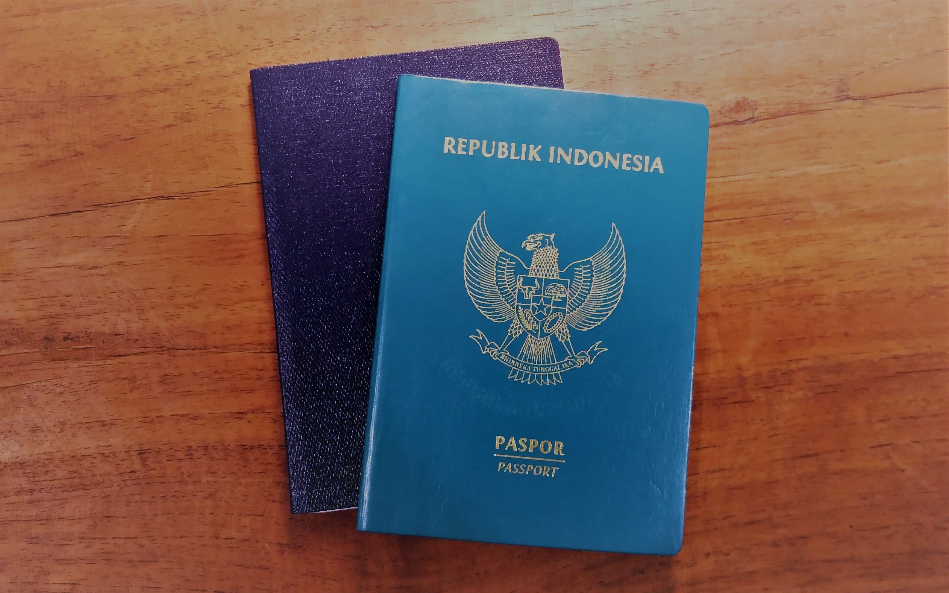 Detail Foto Paspor Indonesia Nomer 10