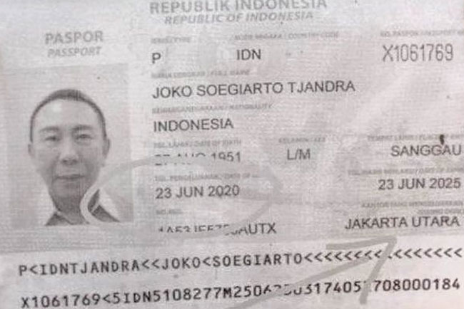 Detail Foto Paspor Indonesia Nomer 21