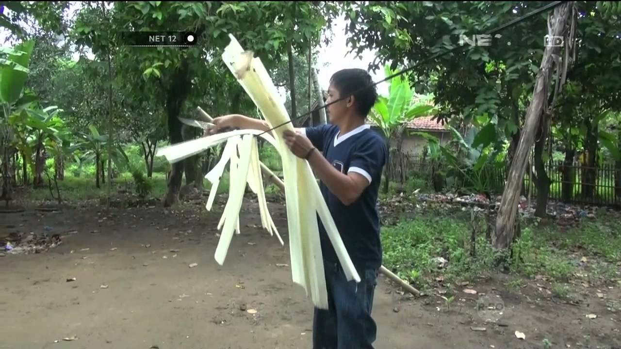 Detail Foto Pelepah Pisang Nomer 17