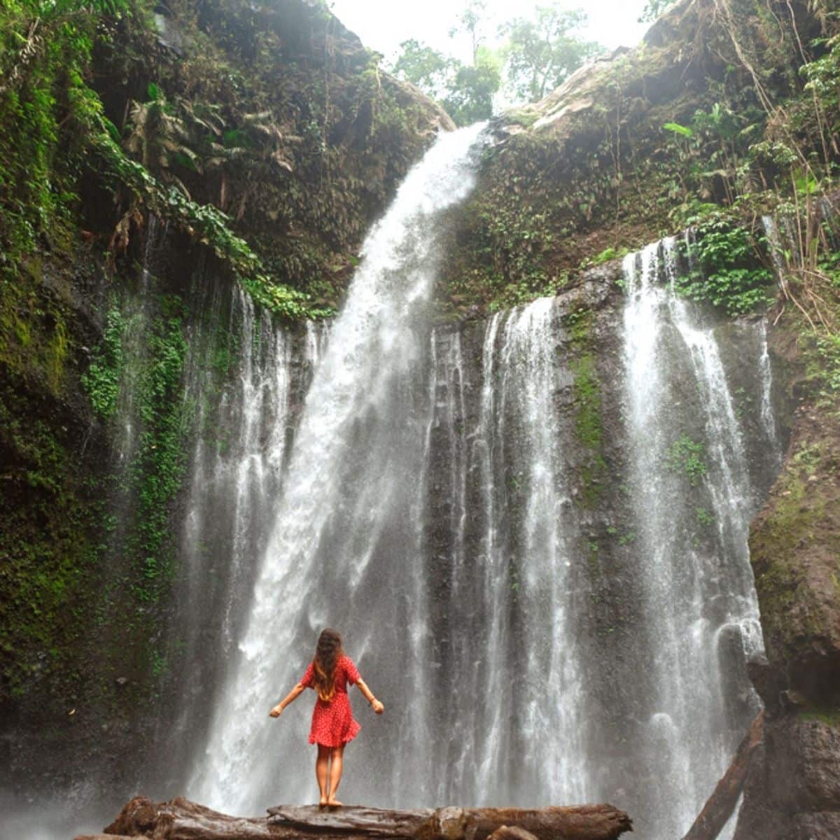 Detail Foto Pemandangan Air Terjun Nomer 15