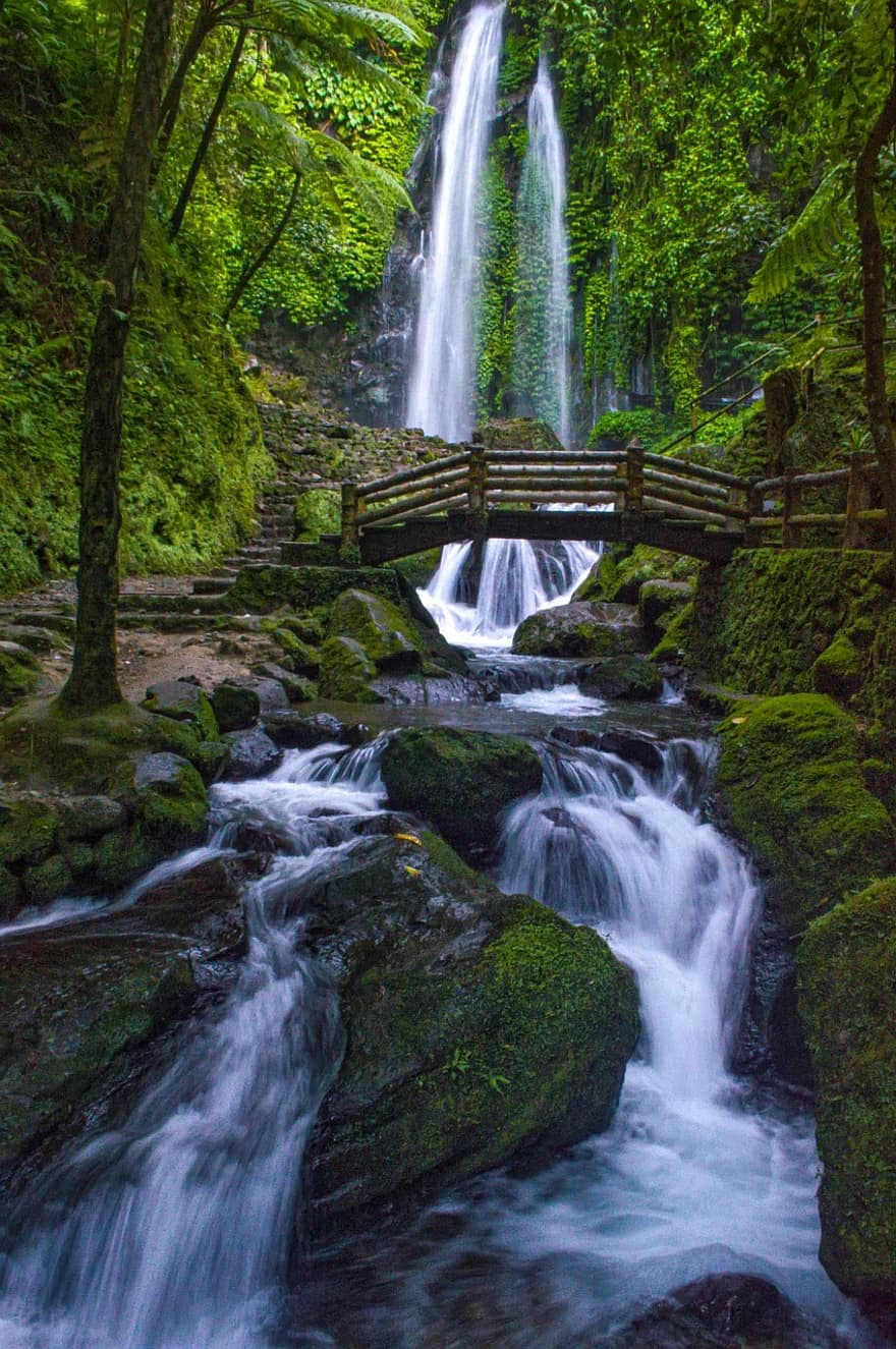 Detail Foto Pemandangan Air Terjun Nomer 22