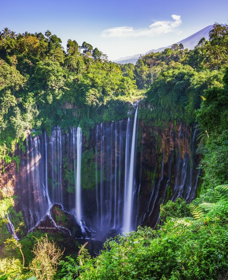 Detail Foto Pemandangan Air Terjun Nomer 26