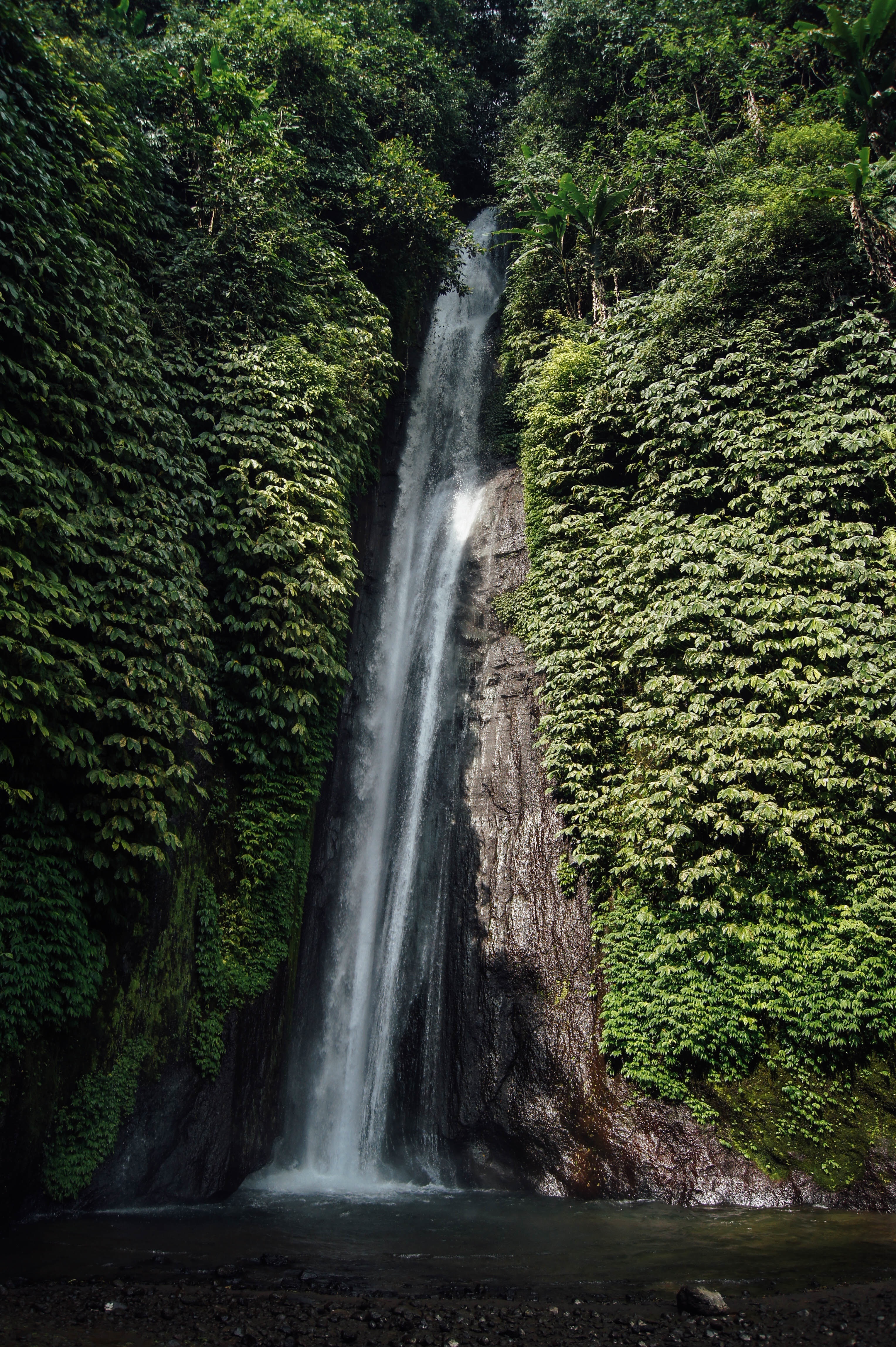 Detail Foto Pemandangan Air Terjun Nomer 39