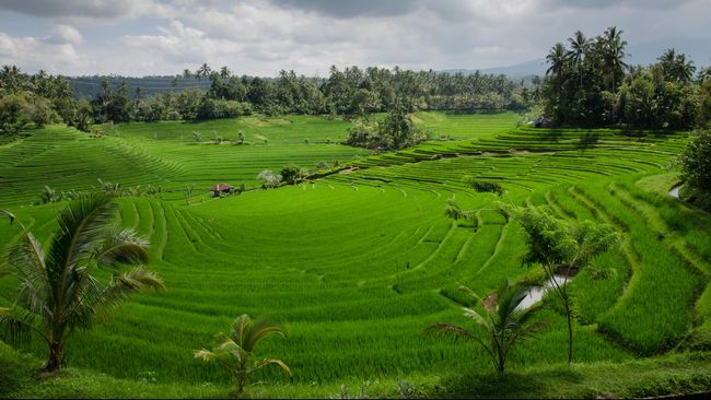 Detail Foto Pemandangan Alam Bali Nomer 34