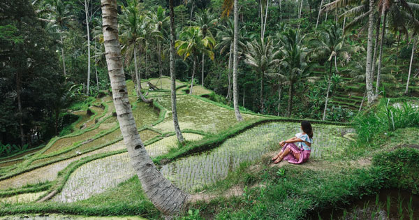 Detail Foto Pemandangan Alam Bali Nomer 36