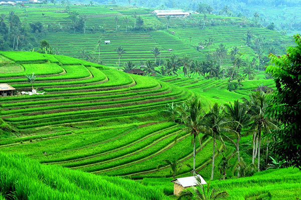 Detail Foto Pemandangan Alam Bali Nomer 38