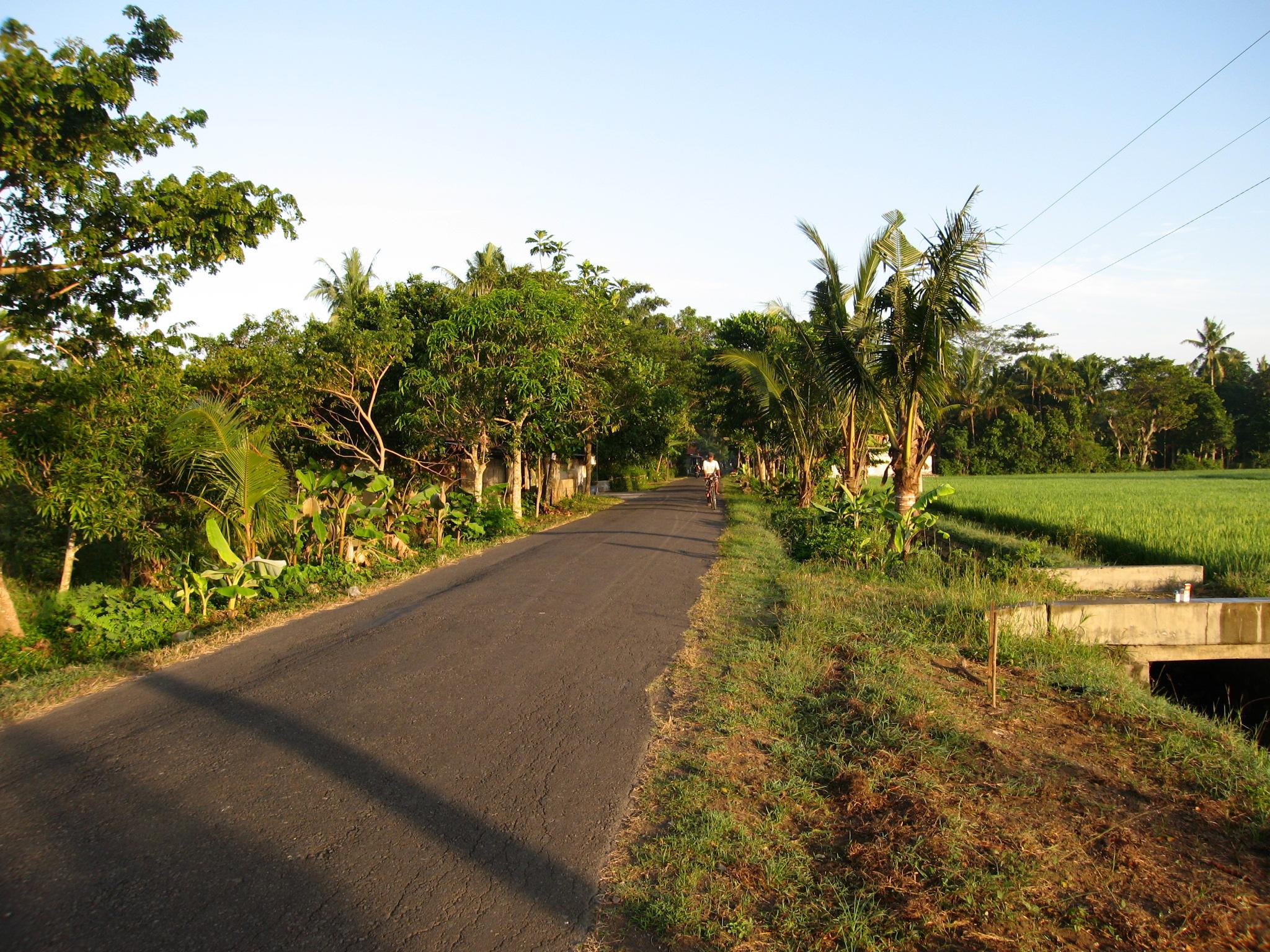 Detail Foto Pemandangan Alam Desa Nomer 11