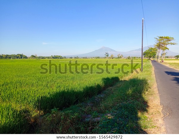 Detail Foto Pemandangan Alam Desa Nomer 16