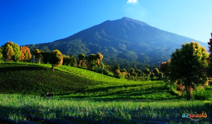 Detail Foto Pemandangan Alam Gunung Nomer 2