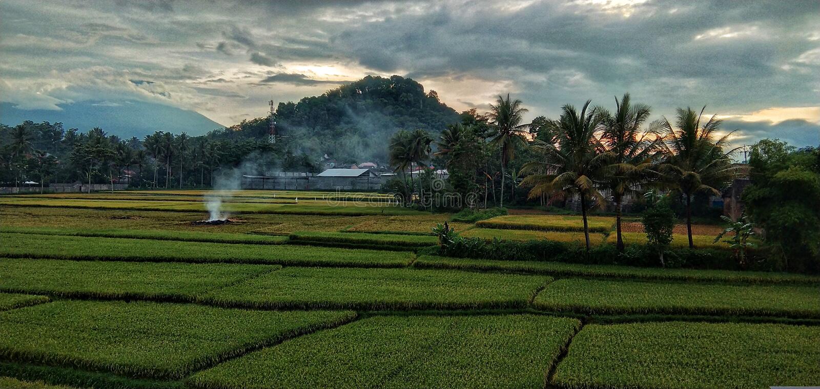 Detail Foto Pemandangan Alam Gunung Nomer 54