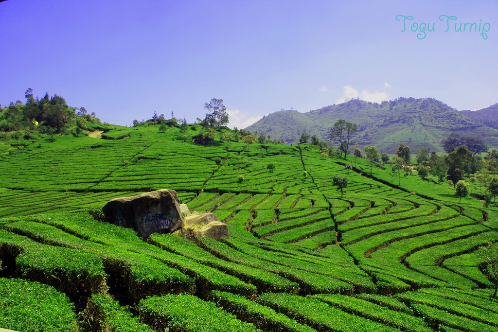 Detail Foto Pemandangan Alam Indah Nomer 53