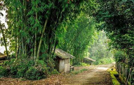 Detail Foto Pemandangan Alam Pedesaan Yang Indah Nomer 3