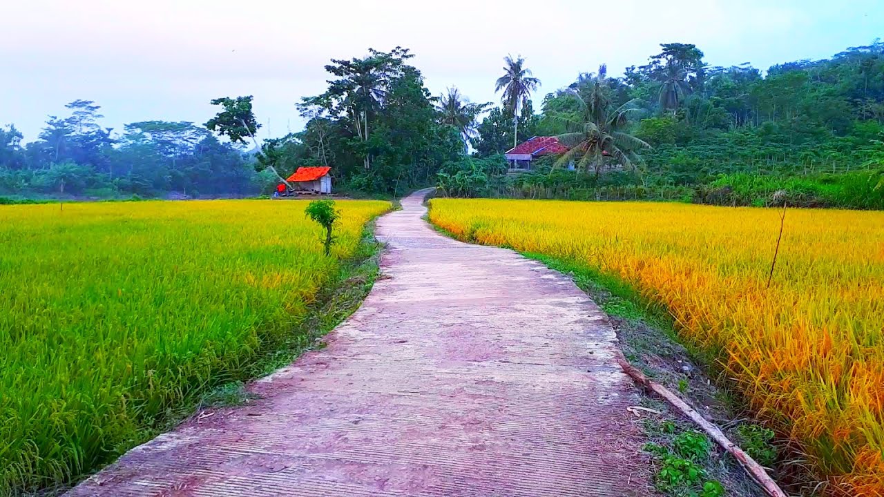 Detail Foto Pemandangan Alam Pedesaan Yang Indah Nomer 35