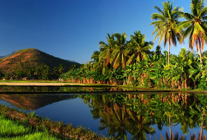 Detail Foto Pemandangan Alam Pedesaan Yang Indah Nomer 37