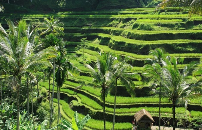 Detail Foto Pemandangan Alam Pedesaan Yang Indah Nomer 7