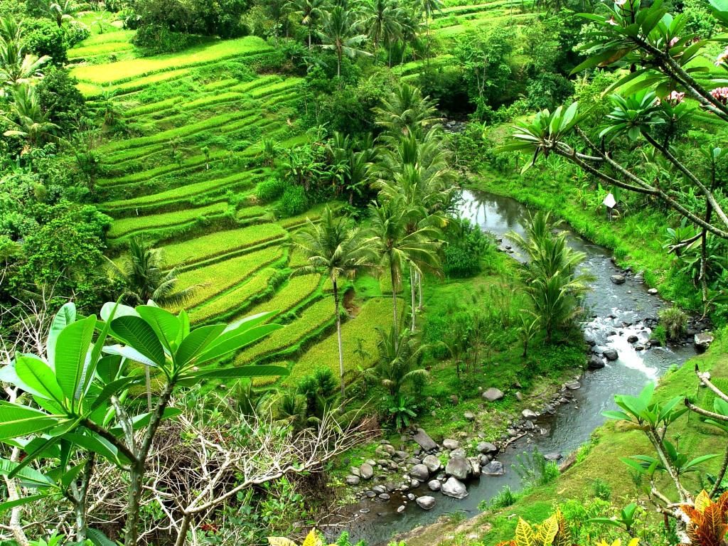 Detail Foto Pemandangan Alam Yang Indah Nomer 4