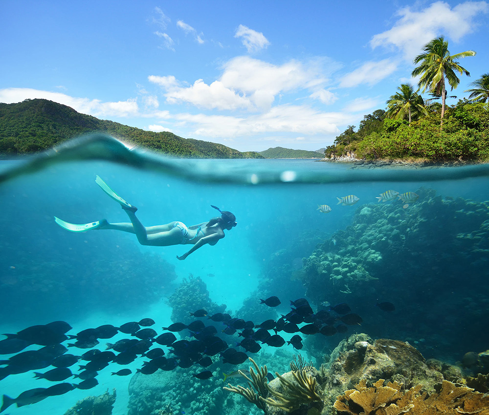 Detail Foto Pemandangan Bawah Laut Terindah Di Dunia Nomer 7